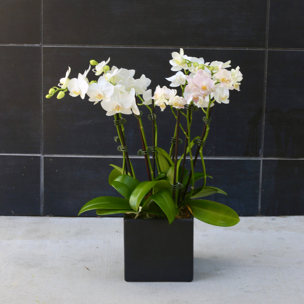 Lunar Petals flower arrangement Waikiki Honolulu florist