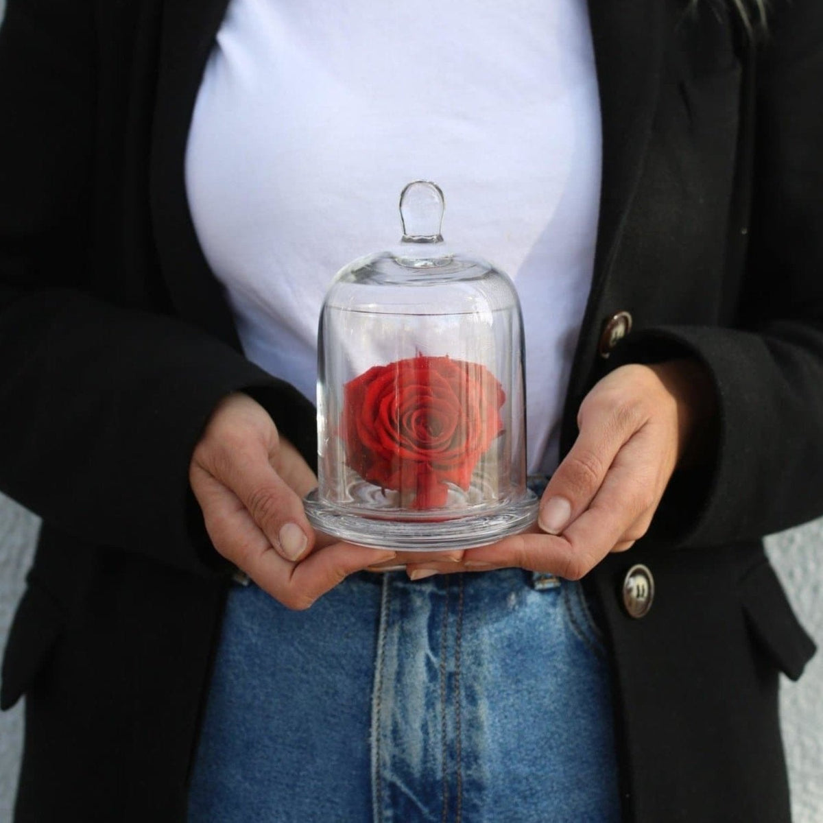 Preserved Roses - Los Angeles Florist - Pink Clover