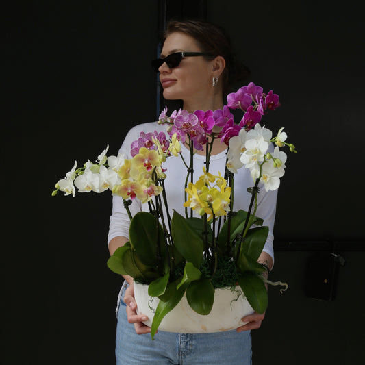 Vibrant bouquet of tropical flowers with orchids and anthuriums, ideal for exotic celebrations