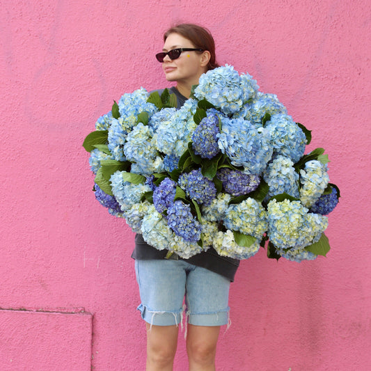 Sapphire Dreams floral arrangement from Pink Clover LA, styled with lush greenery and calming tones