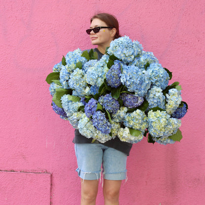 Sapphire Dreams flower arrangement Beverly Hills Los Angeles florist