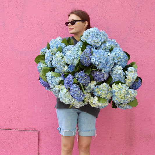 Sapphire Dreams flower arrangement Beverly Hills Los Angeles florist