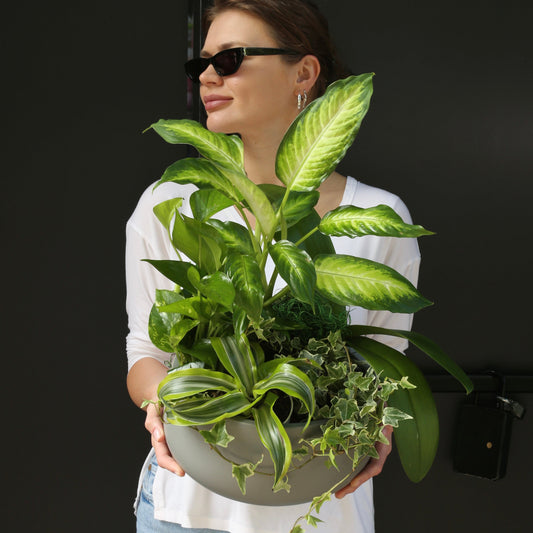 Indoor plant mix featuring lush greenery in varying textures, elegantly wrapped in kraft paper and satin ribbon – Plant Mix by Pink Clover LA.