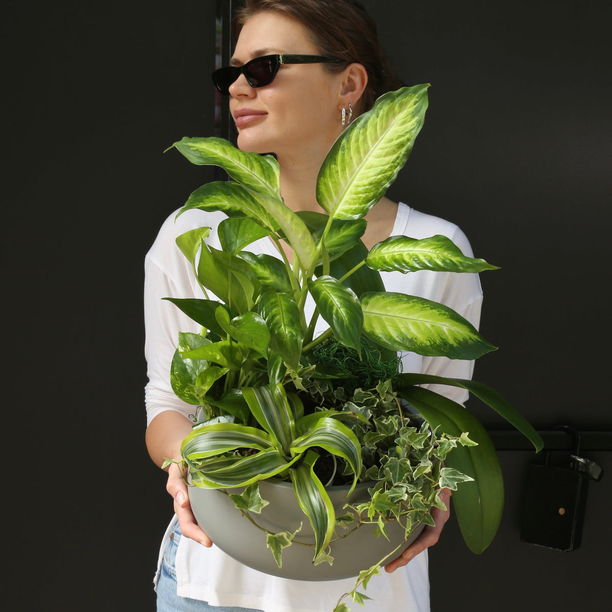 Plant mix dieffenbachia pothos same-day delivery Los Angeles