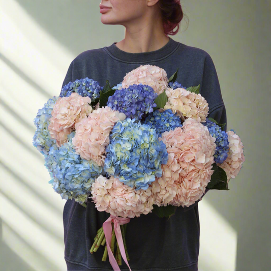 Blush Sky hydrangeas same-day delivery Los Angeles