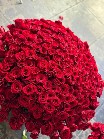 Lust flower arrangement Pacific Heights San Francisco florist