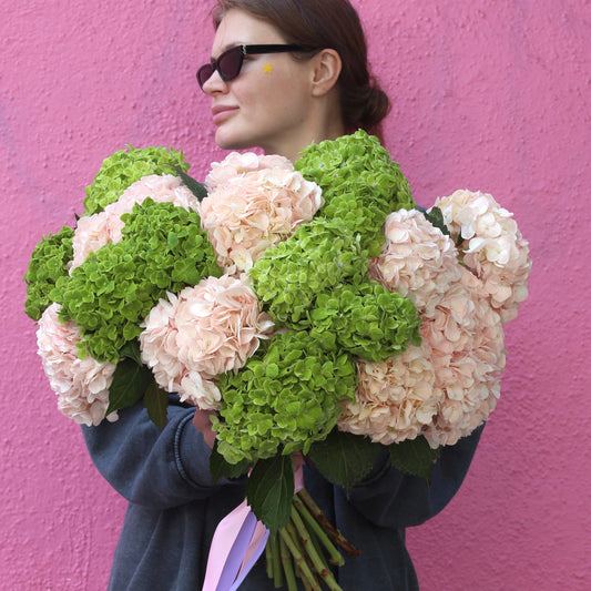 Blush & Mint hydrangeas same-day delivery Los Angeles