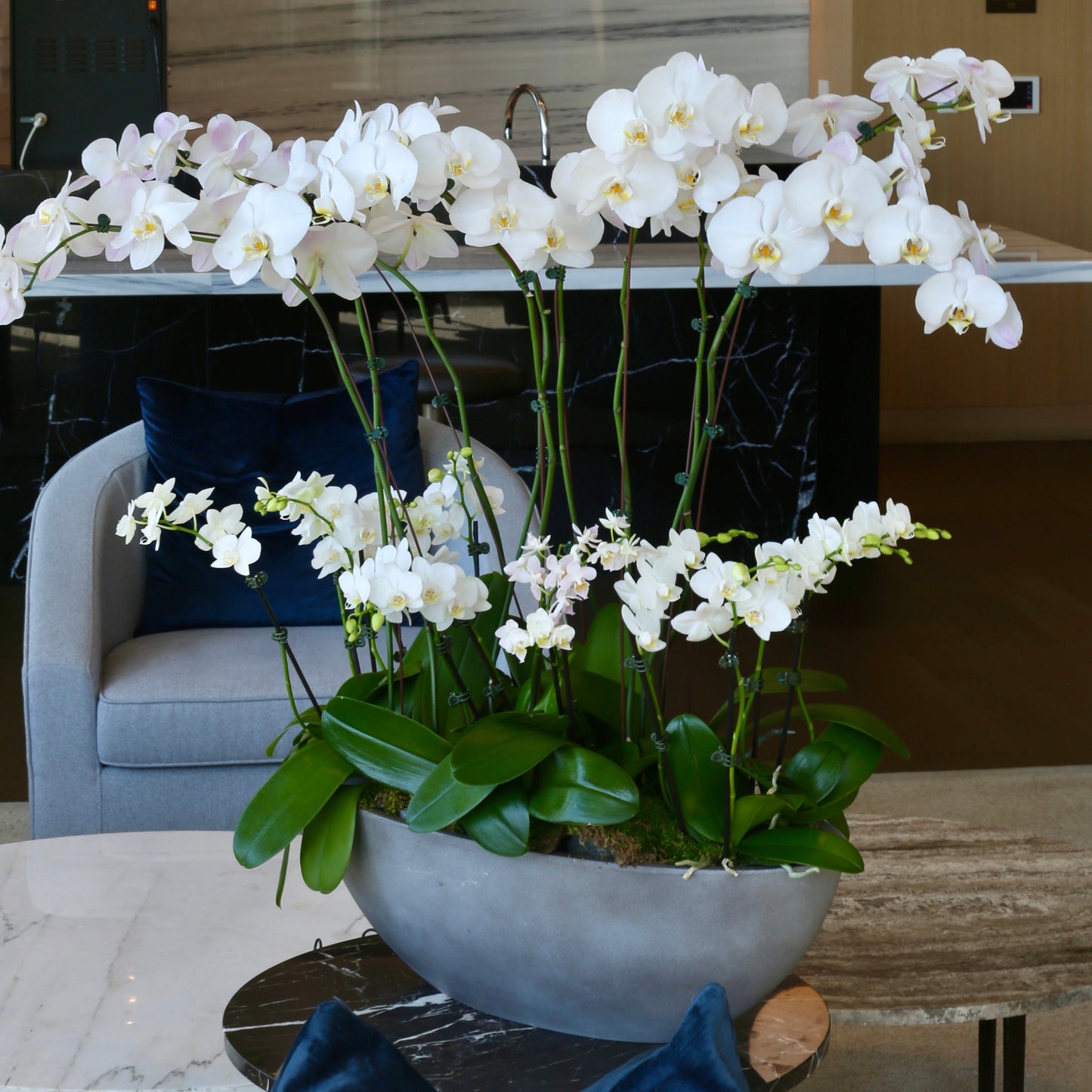 Moonlit Orchids orchids same-day delivery Honolulu