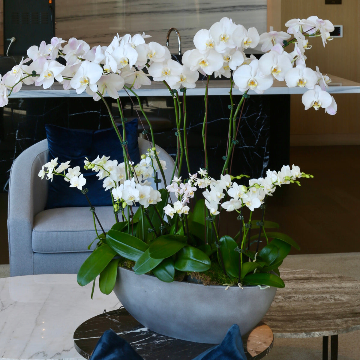 Moonlit Orchids orchids same-day delivery San Francisco