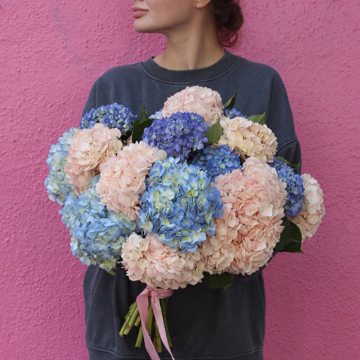 Luxury hydrangeas gift delivery West Hollywood Los Angeles