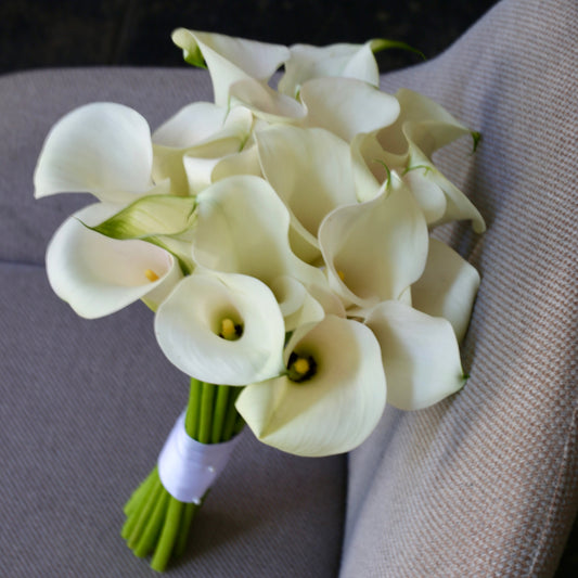 Pure Elegance roses same-day delivery Los Angeles