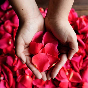 Rose Petals roses same-day delivery Los Angeles