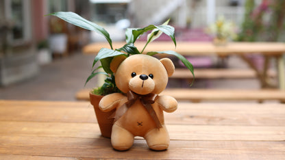 Teddy Bear Toy bouquet roses Beverly Hills florist Pink Clover