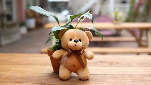 Teddy Bear Toy bouquet roses Beverly Hills florist Pink Clover