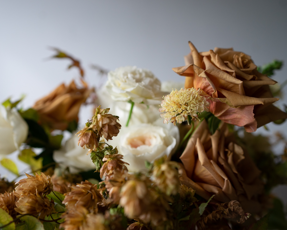 Untitled_2500_x_2200_px_2.png