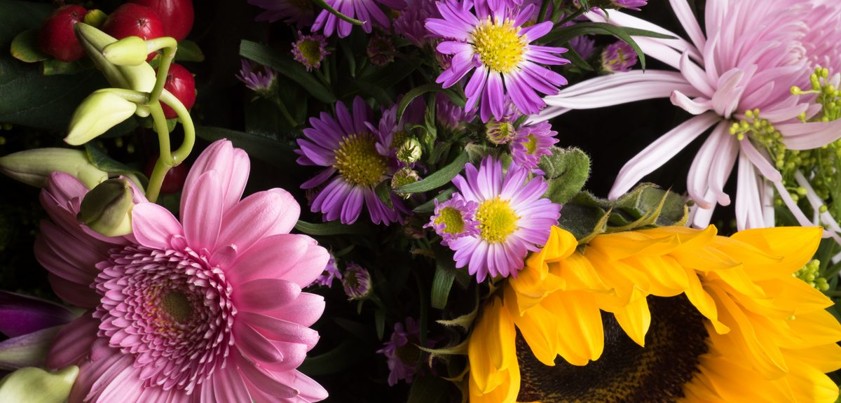 flower_types_3.png