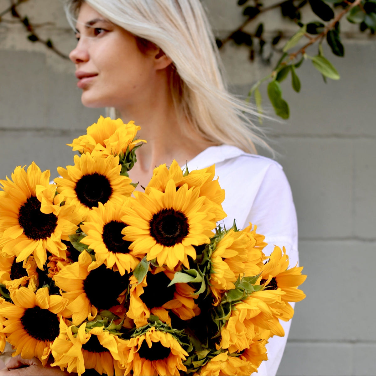Sunshine flower arrangement Waikiki Honolulu florist