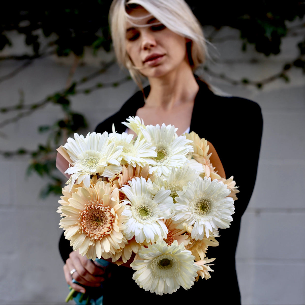 Luxury roses spray roses gift delivery West Hollywood Los Angeles