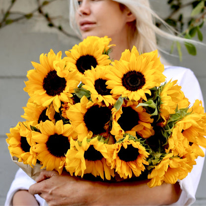 Luxury sunflowers gift delivery West Hollywood Los Angeles