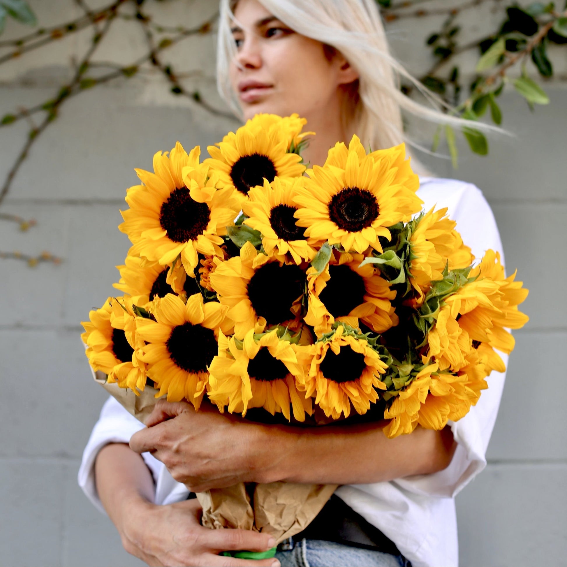 Sunshine sunflowers same-day delivery San Francisco