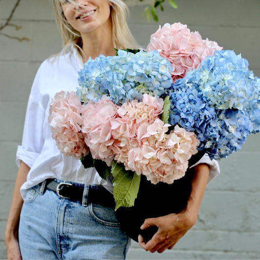 Hydrangea Mix hydrangeas same-day delivery Los Angeles