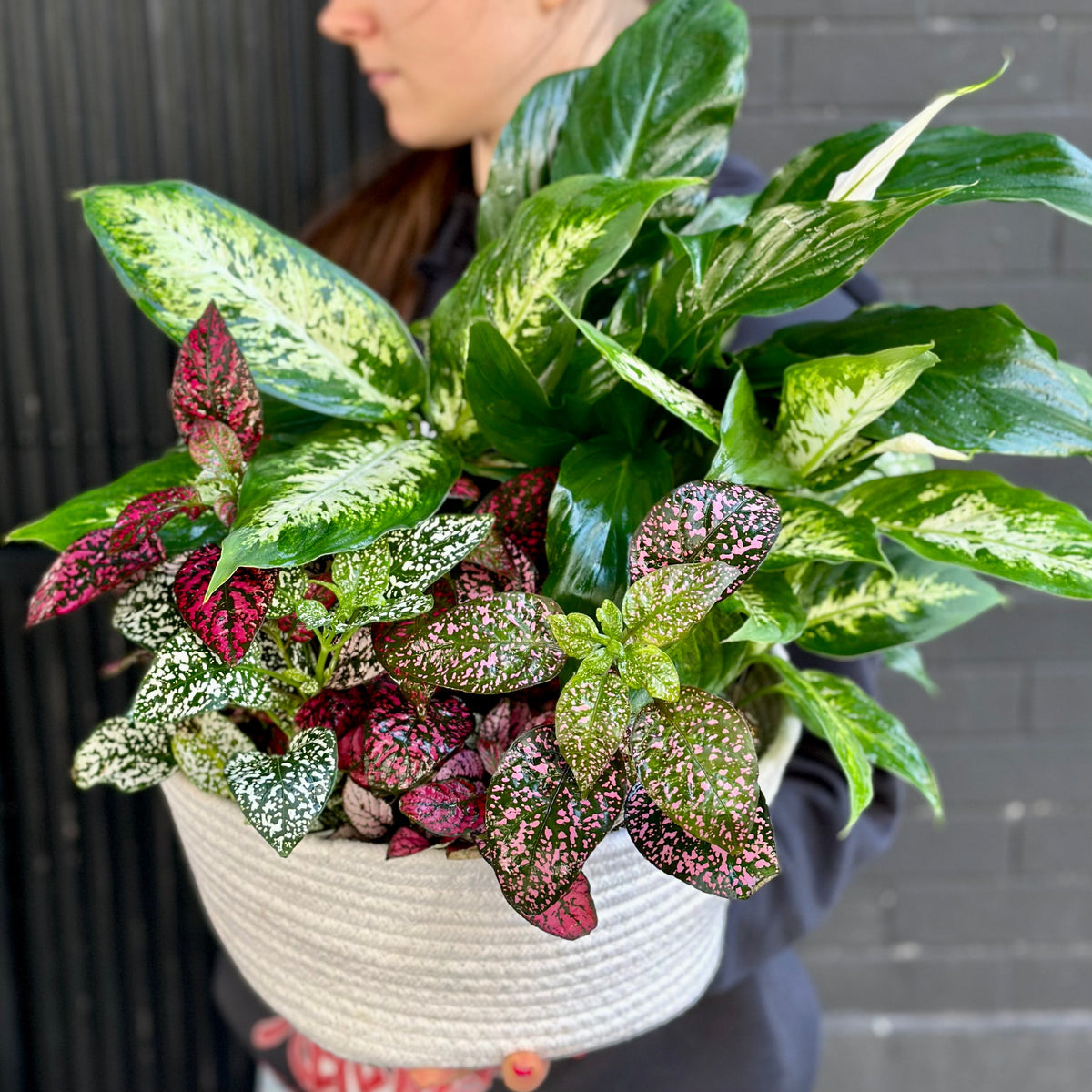 Plant mix flower arrangement Beverly Hills Los Angeles florist