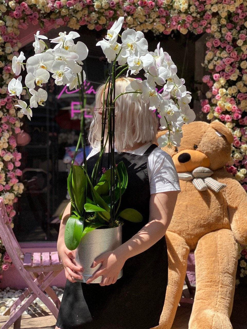 Orchids plants in ceramic vase flower arrangement Beverly Hills Los Angeles florist