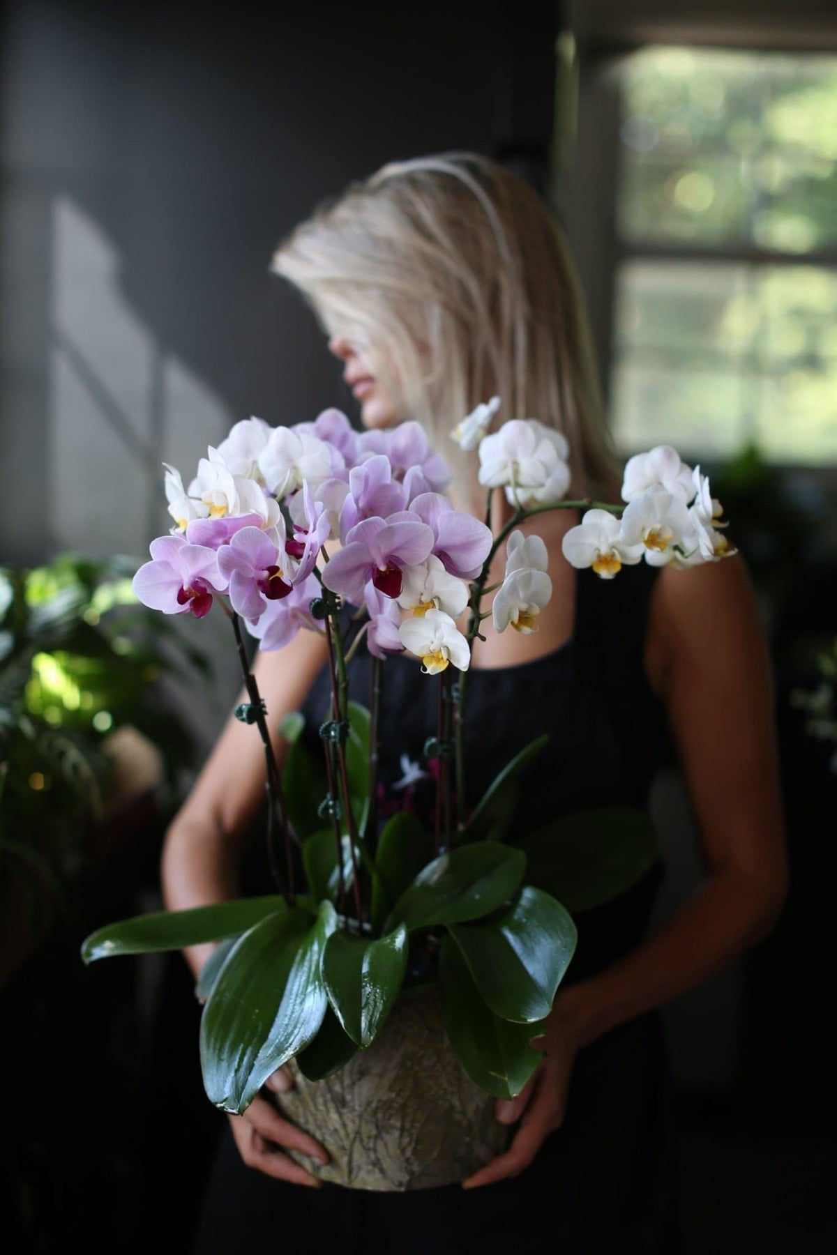 Orchids plants in ceramic vase orchids same-day delivery Los Angeles