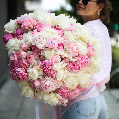 Luxurious arrangement of 100 peonies in blush and white, symbolizing romance and opulence
