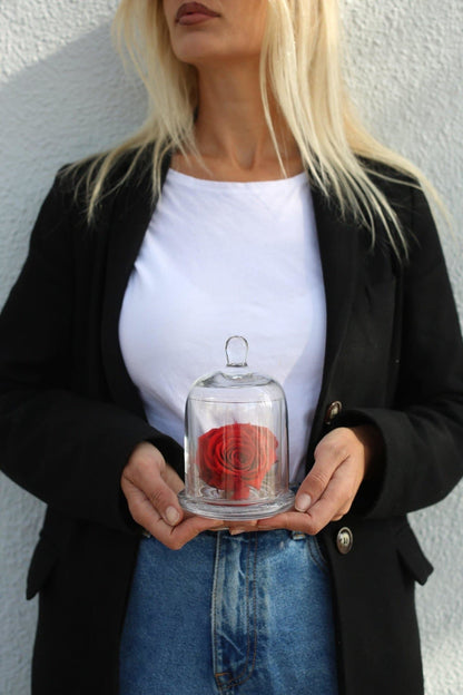 Luxury preserved red rose gift delivery West Hollywood Los Angeles